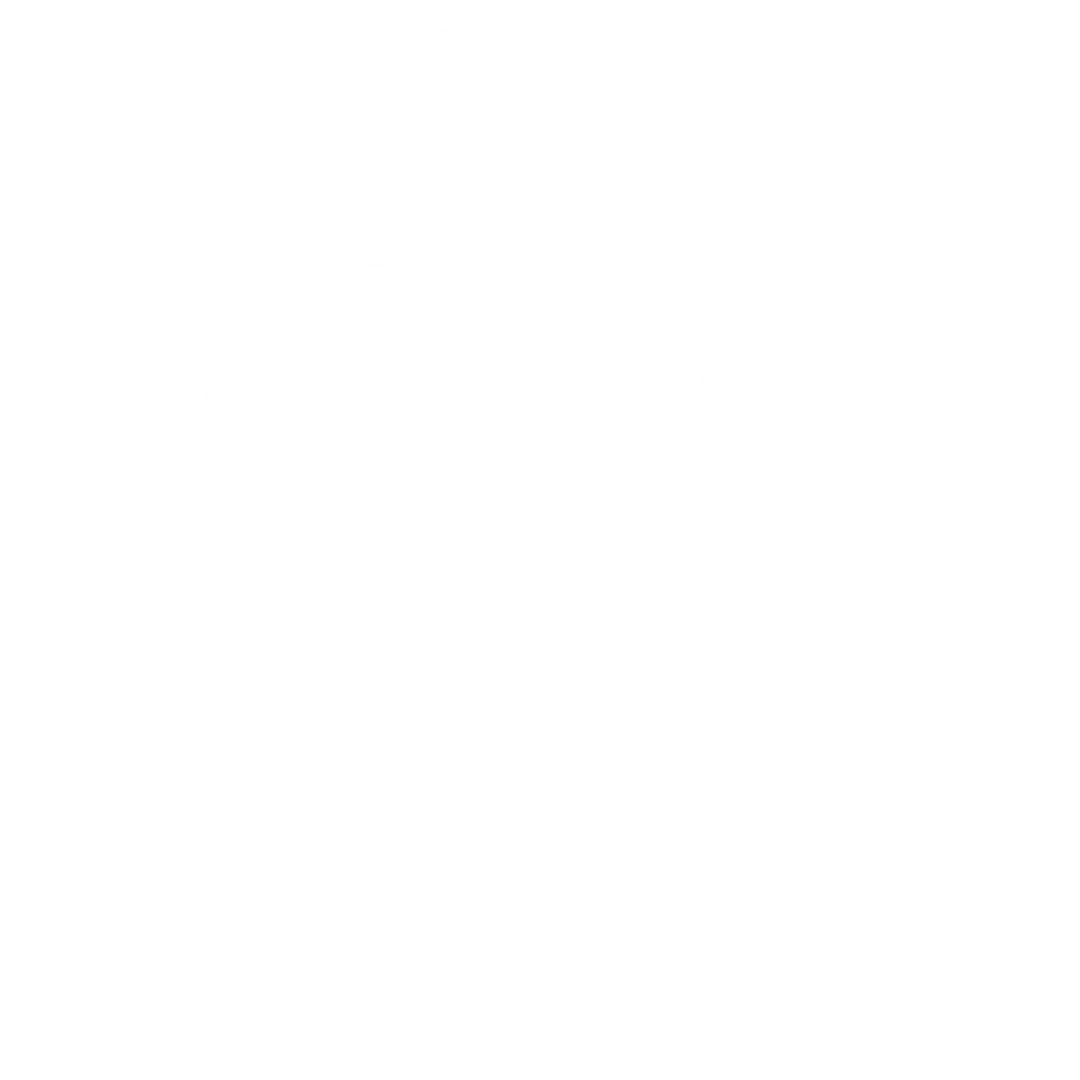 Budget Discipline Required